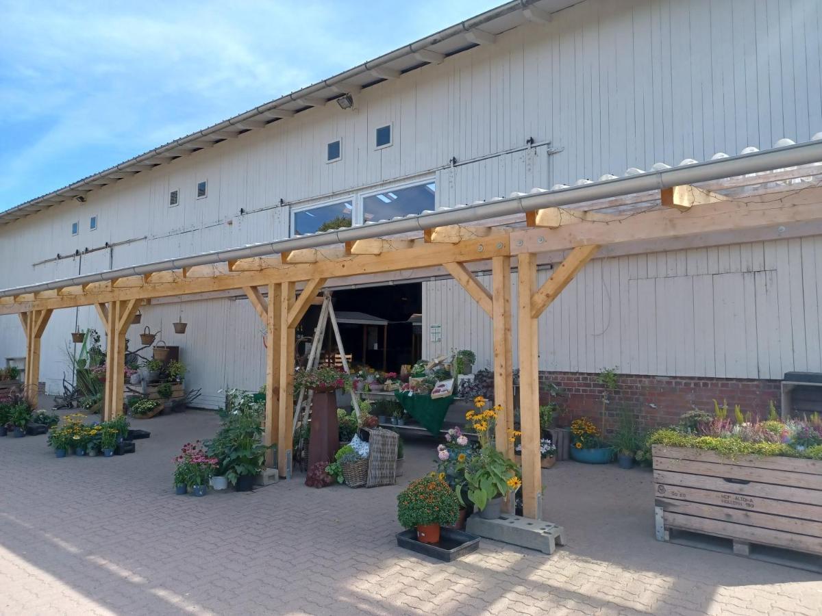 Ferienwohnung Am Elbstrom Stade Luaran gambar